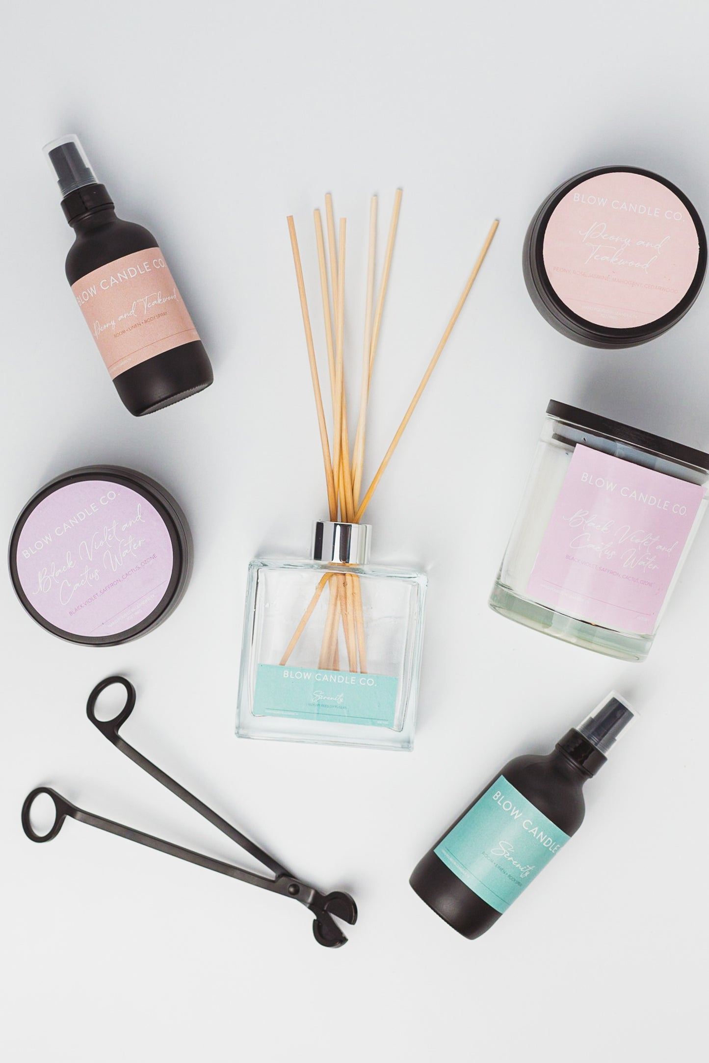 Black Violet and Cactus Water Reed Diffusers
