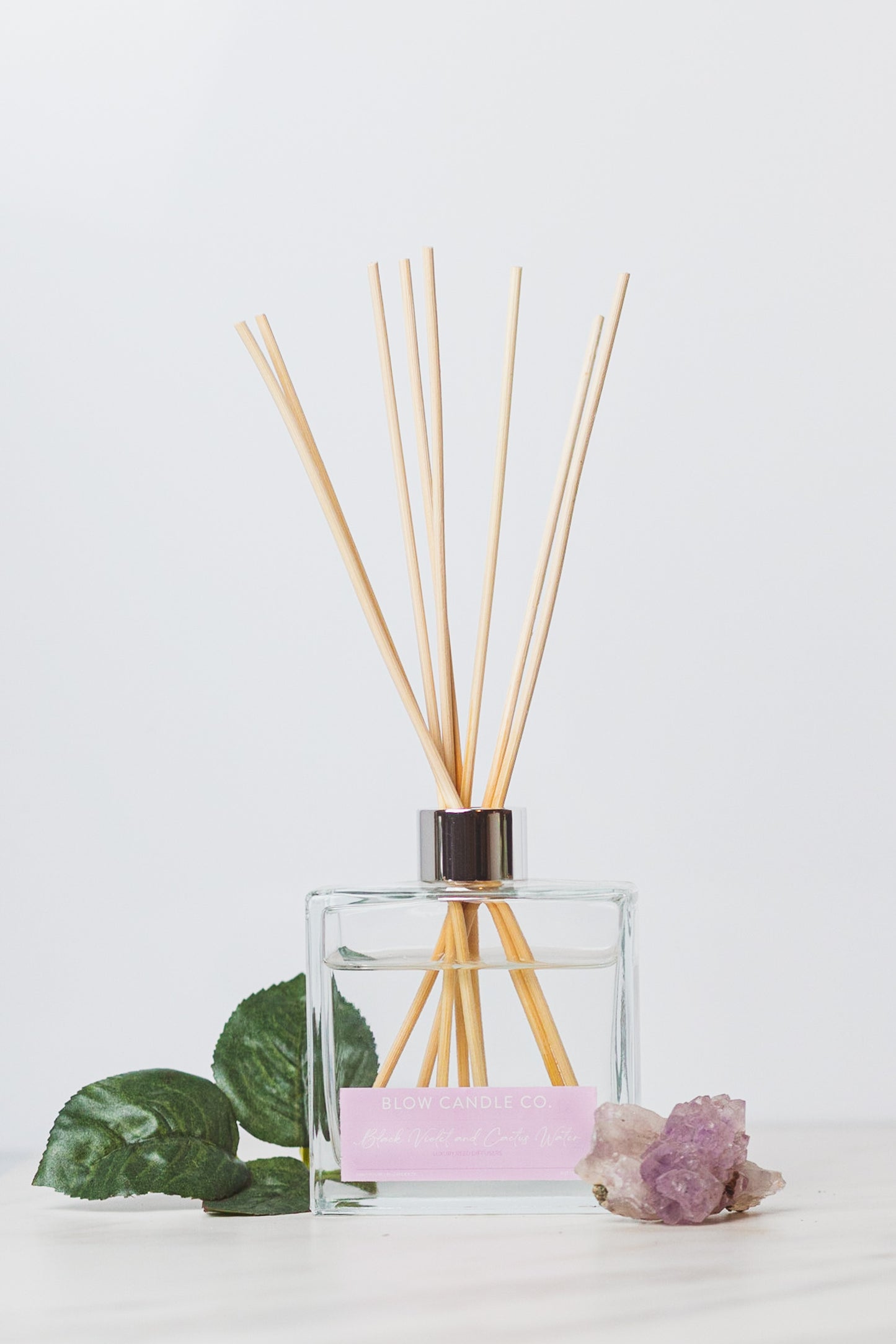 Black Violet and Cactus Water Reed Diffusers