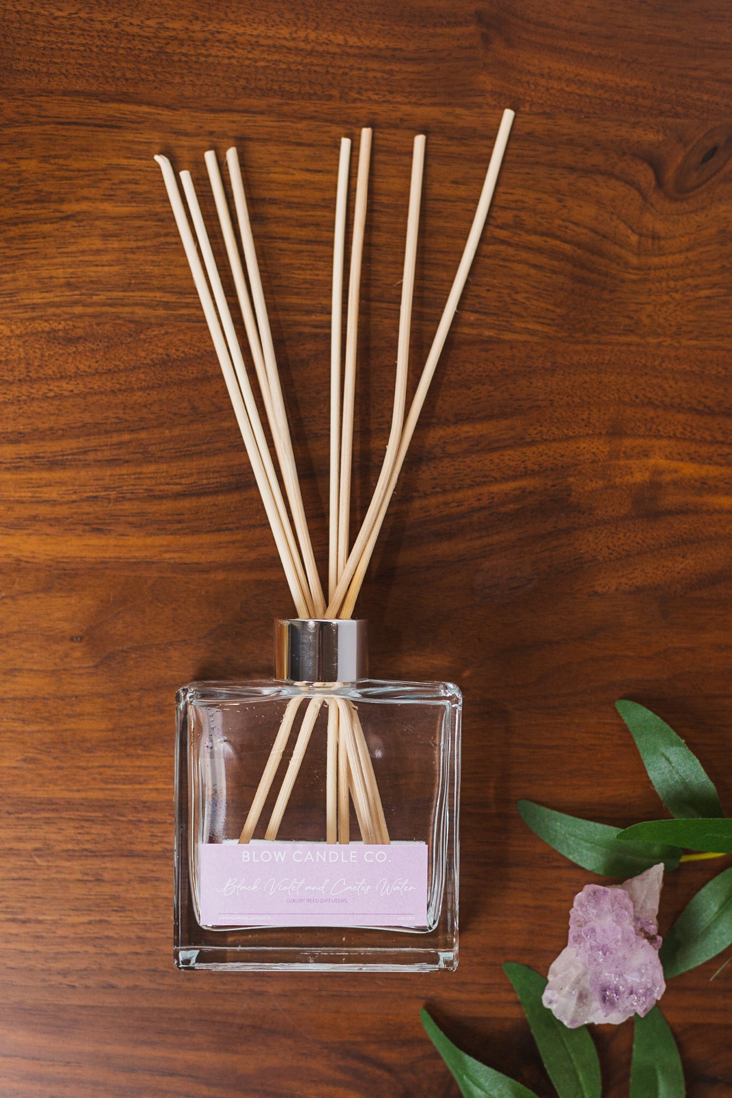 Black Violet and Cactus Water Reed Diffusers
